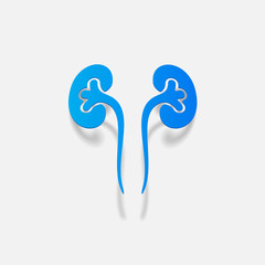 realistic design element: kidneys, medical