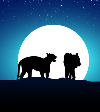 Two Tigers at Night-Vector