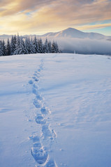 Trail in the snow in the mountains