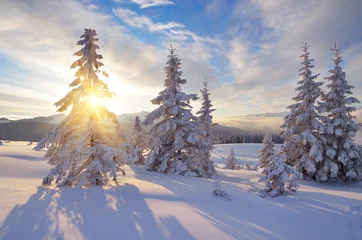 Foto auf Acrylglas Winter Sunny winter landscape