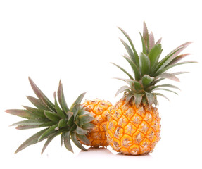 Pineapple tropical fruit or ananas