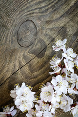 Spring flowers on wood