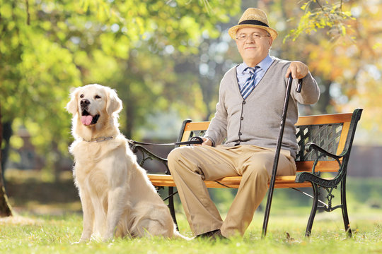 Senior Man Seated On A Wooden Bench With His Dog Relaxing In Par