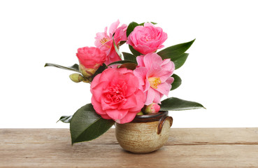 Camellia flowers