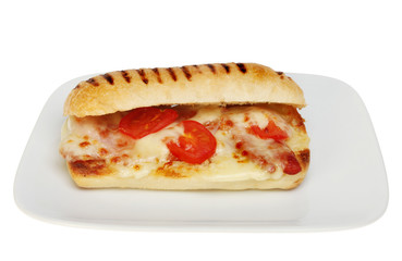 Panini