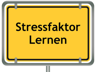 Stressfaktor Lernen