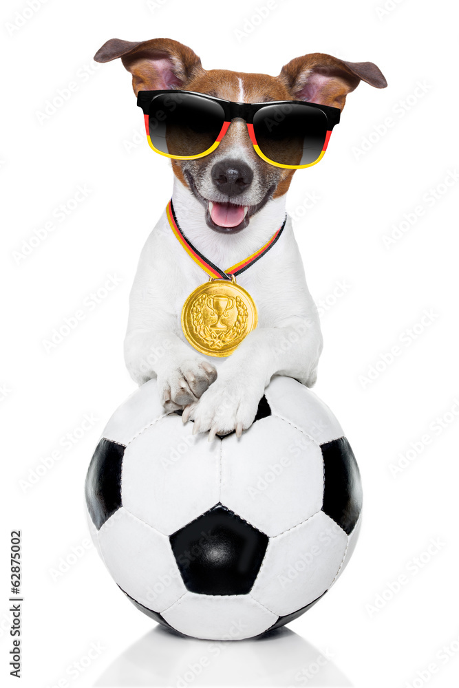 Wall mural brazil fifa world cup dog