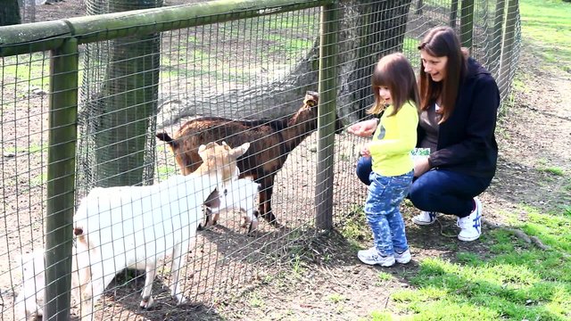 mamma e bambina alla fattoria