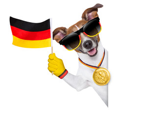 brazil  fifa world cup  dog