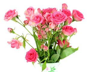 Beautiful small pink roses, isolated on white