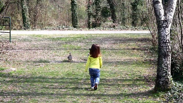 bambina che rincorre due anatre