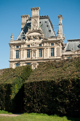Fototapeta na wymiar Louvre jardin des Tuileries à Paris