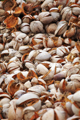 many dry coconut in sun light