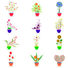 Flower in pot vector set