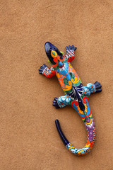 Colorful lizard - Santa Fe