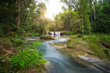 Obraz premium Deep forest waterfall National Park