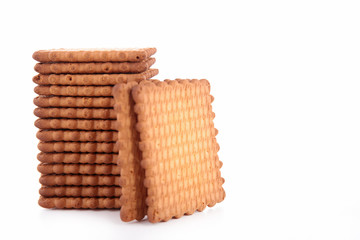 biscuit