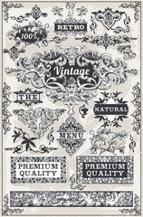 Vintage Hand Drawn Graphic Banners and Labels