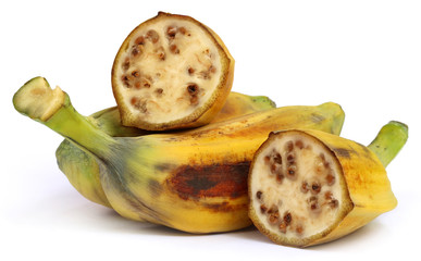 Wild banana of Southeast Asia
