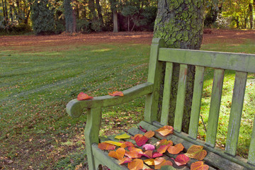 Bench in autumn park.