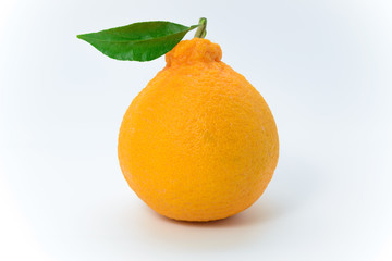 Orange isolated on white background