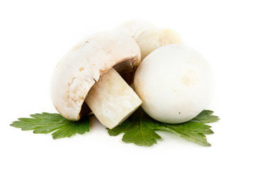 Mushrooms on white