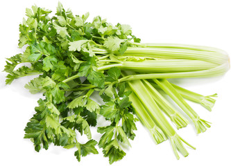 celery ( Apium L. )