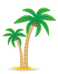 Fototapeta premium palm tropical tree vector illustration