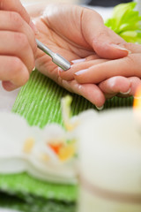 Obraz na płótnie Canvas Beautician Giving Manicure Treatment