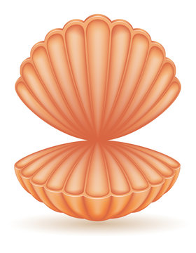 shell sea vector illustration