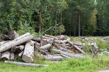 deforestation