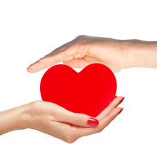 Red heart in woman and man hands isolated on white