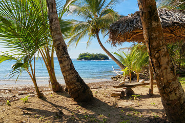 Beach with thatched umbrella and coconut trees