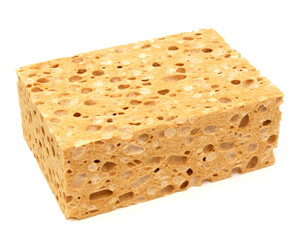 Sponge - Schwamm - Éponge