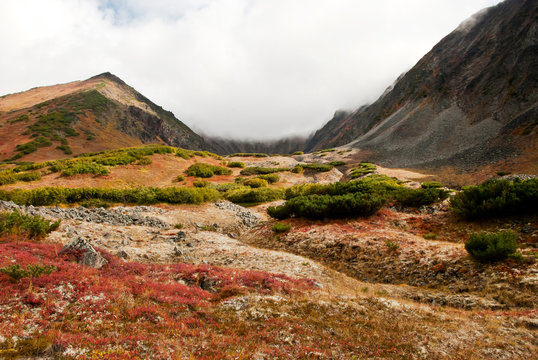 autumn landscape in Kamchatka