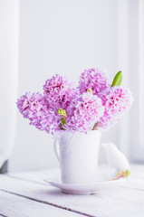 Pink  hyacinths in white vase on white background