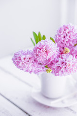 Pink  hyacinths in white vase on white background