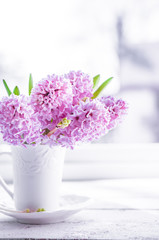 Pink  hyacinths in white vase on white background