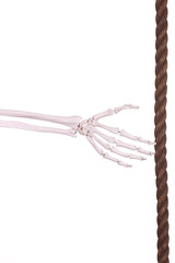 skeleton hand with old brown rope