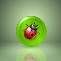 Ladybird. Icon for app or web design.