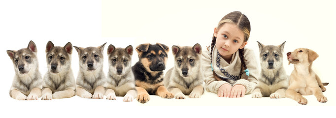 child and many puppies