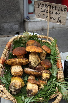 Funghi porcini al mercato