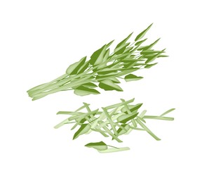 Fototapeta premium Fresh Water Spinach on A White Background