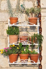 Fototapeta na wymiar Outdoor flowerpot decoration hanging on house wall