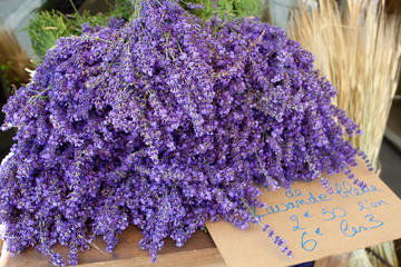 Bunches of lavender flowers for sale, France, Provence.