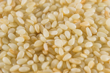 White Sesame Seed