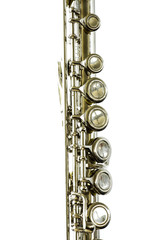 Fototapeta premium Flute