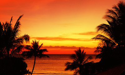 Tropical sunset in red colors