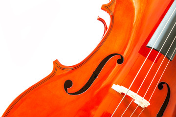 Violin isolate on white background