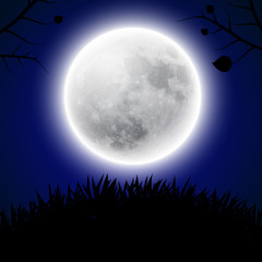 Fototapeta na wymiar Background with moon